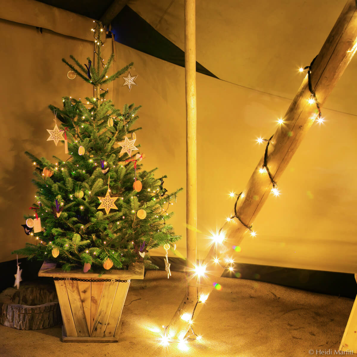 Christmas tree and fairly lights